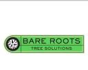 Bare Roots Tree Solutions logo